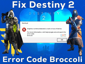 Read more about the article Fix Destiny 2 Error Code Broccoli